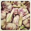 #garlic clove against #vampires at the #weeklymarket