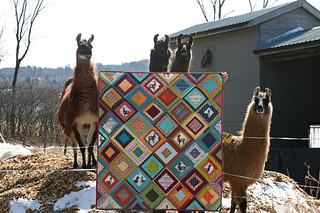 a lovely llama quilt