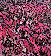 Bright Leaves in November (Digital Woodcut) by randubnick