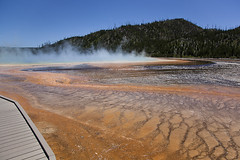 Yellowstone 2011