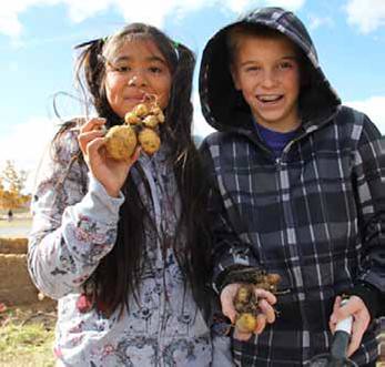 These students at Dayton Elementary in Dayton, Nevada harvest potatoes from their school’s garden. The story of how local food is helping increase healthy food access in their community, and many others stories like it, are in USDA’s new Know Your Farmer, Know Your Food Compass.