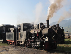 The Moldovita forest railway.