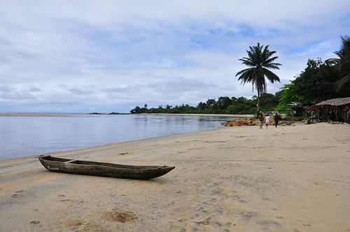 Cameroun 2011