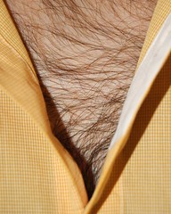 white man's chest hair in a v-neck