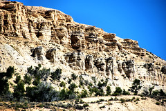 Fossil Butte NM
