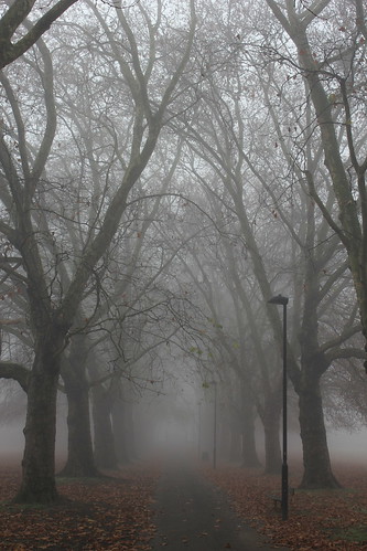 Foggy morning at Pitshanger Park