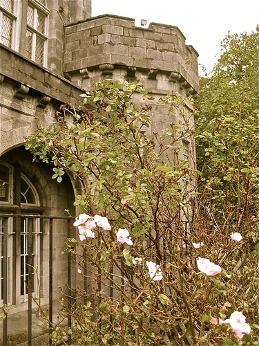 Kilkenny Castle 03