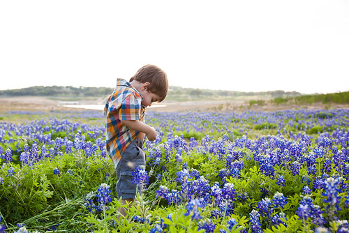 Anthony in Bluebonnets-0006