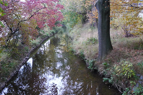 Eschbach bei Harheim, herbstlich. Oktober 2011