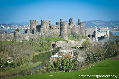 Looking across at Conwy Castle by [davidrobertsphotography]