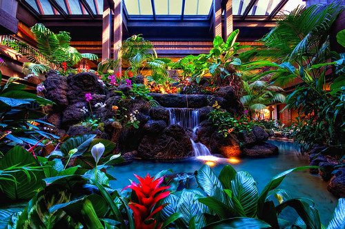 Lush Tropical Lobby