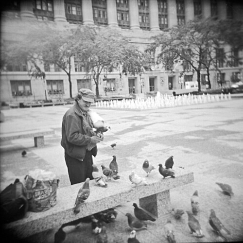 Man and Pigeons 1