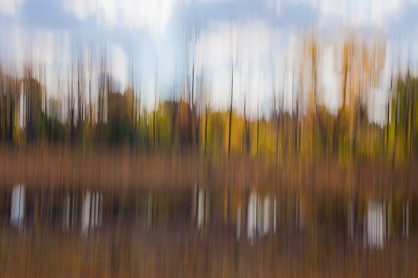 Abstract Pond Reflection