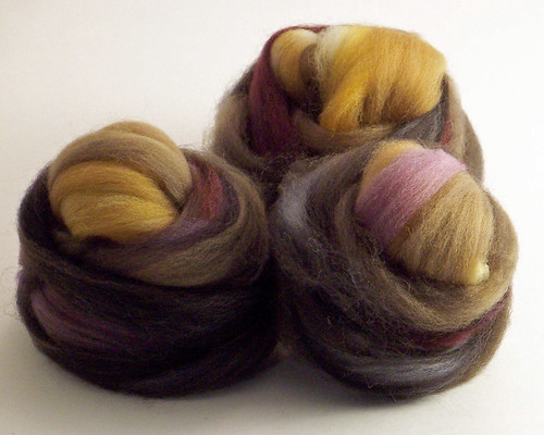 Southern Cross Fibre - Polwarth - Autumn Leaves - prepped