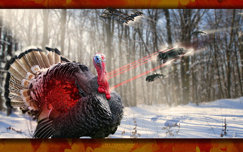 Eve Turkey Shoot Wallpaper