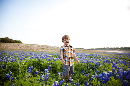 Anthony in Bluebonnets-0015