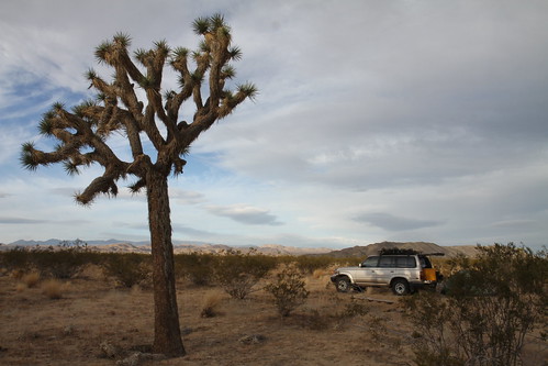 Desert Trip Nov 2011 by GCRad1