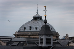 The Roofs of Brussels