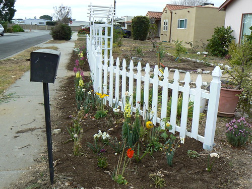 Front yard fence and bed