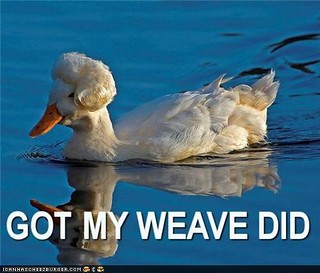 duckweave