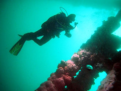 Rig & Reef Dive August 2011