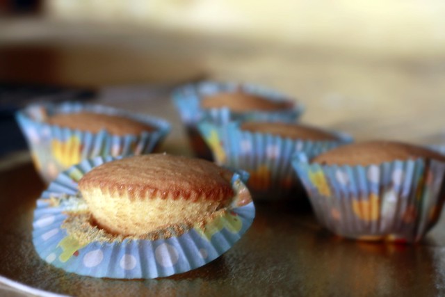 kalamansi cupcakes/muffins 2