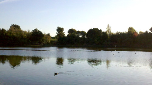 Niles Community Park