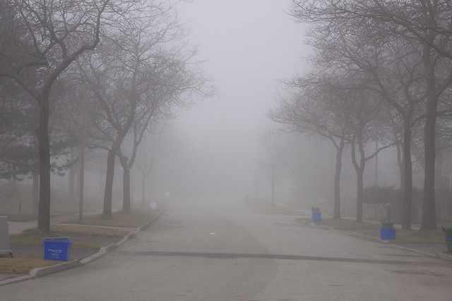 foggy street recycle day