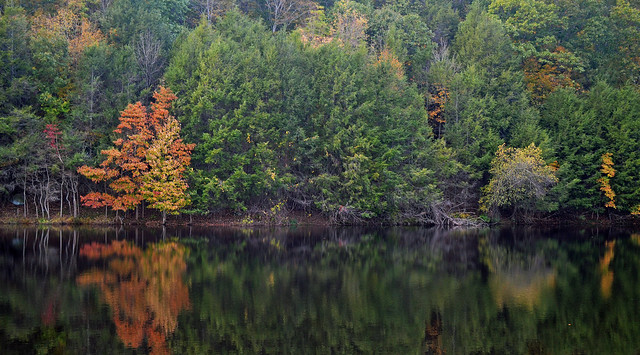 Autumn Reflection, Woodbridge, Connecticut