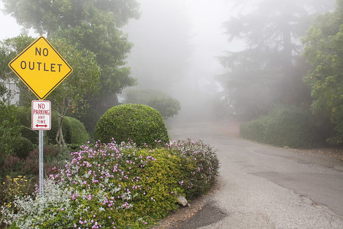 Fog in the Berkeley Hills, CA