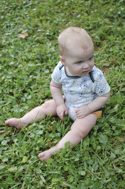George on the green grass.