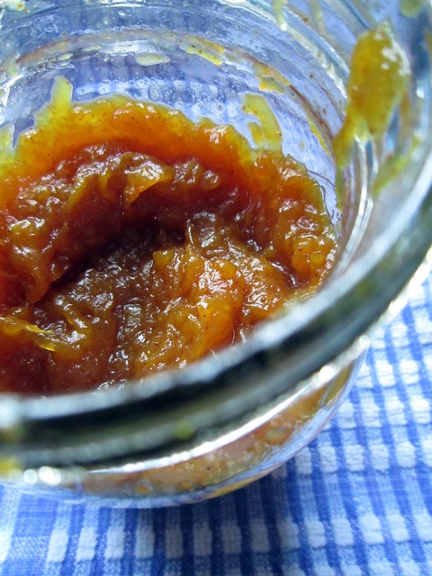 mango chutney on cookingwithacrochetspoon.blogspot.com