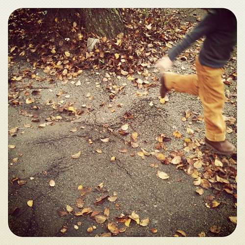 Running through leaves.