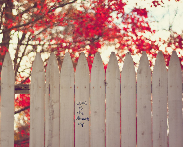 {Words of Wisdom} Fence Friday