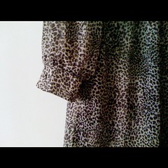 Rawr dress. I have a shoes to match this.