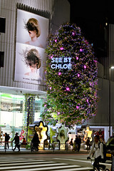 Tokyo Christmas 2011