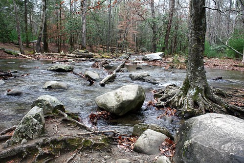 Photo of a stream in the Great Smoky Mountains