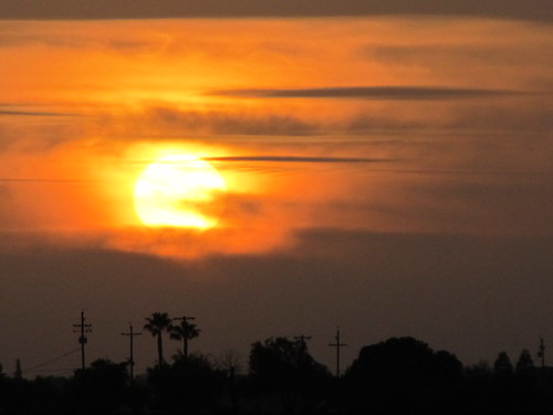 Lodi Sunset by eagle69er
