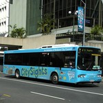 Brisbane Transport City Sights Bus Tour
