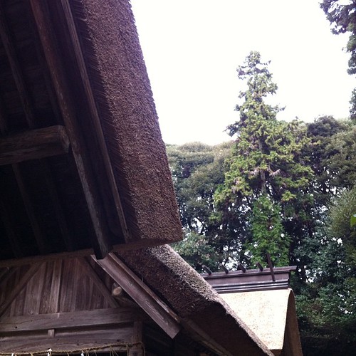 大神宮の屋根の茅葺き替えが出来上がったって聞いたので