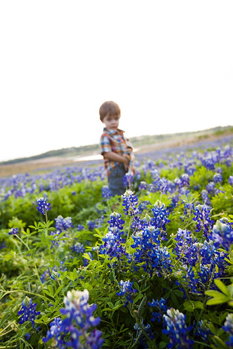 Anthony in Bluebonnets-0005