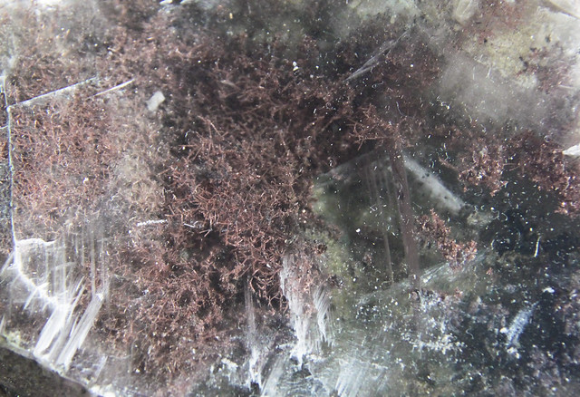 Copper - dendritic inclusions in gypsum