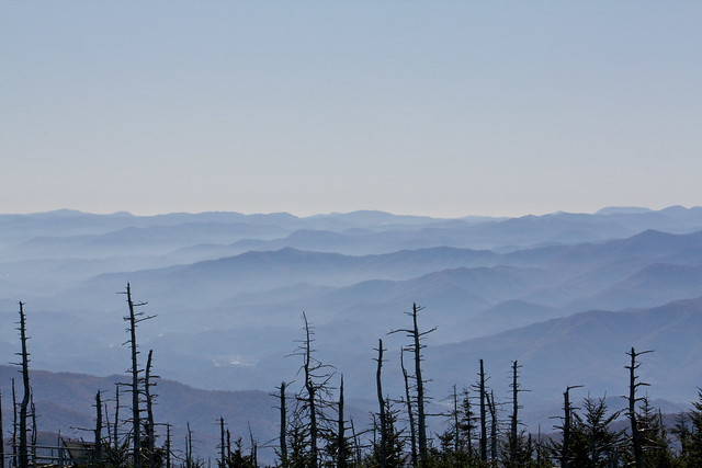 The Smokies from Clingman's Dome