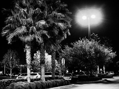 At Night in the Parking Lot