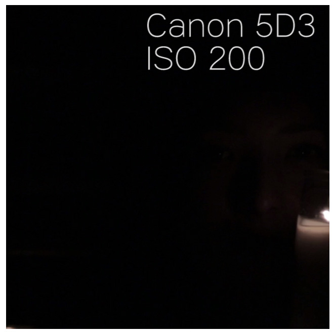canon5d3_iso200_100percentcrop