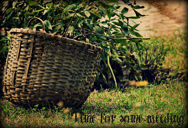 Weeding Basket