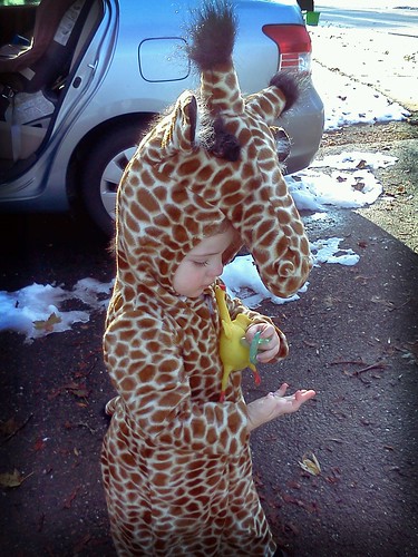 Giraffe with rubber chicken
