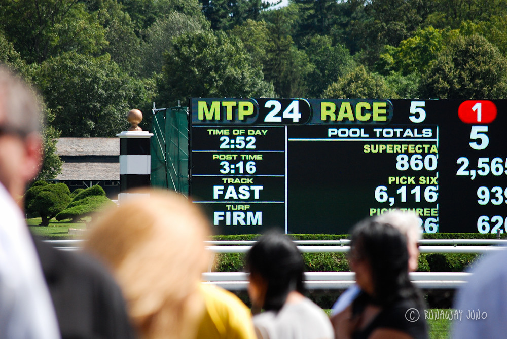Saratoga springs horse racing track