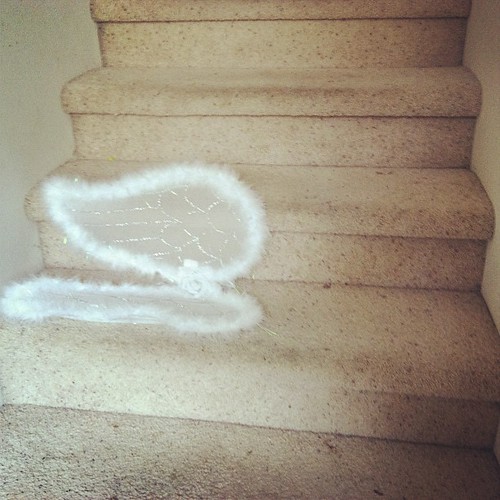 Angel wings on my stairs.