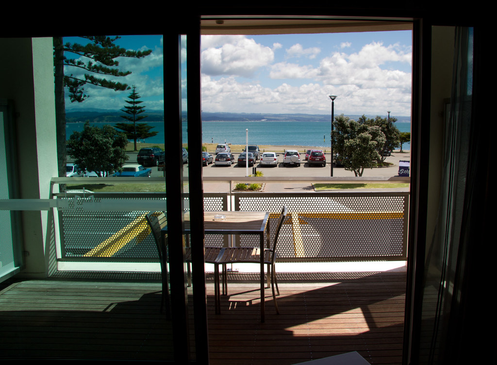 Napier Coastline View